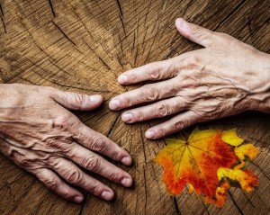 elderly concept - old hands and old tree